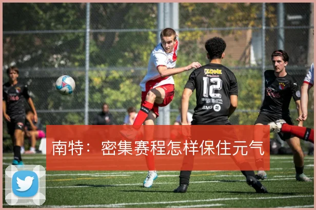 南特:密集赛程怎样保住元气