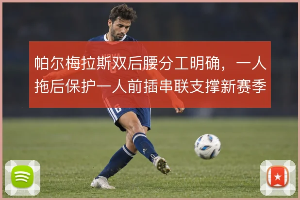 帕尔梅拉斯双后腰分工明确，一人拖后保护一人前插串联支撑新赛季体系